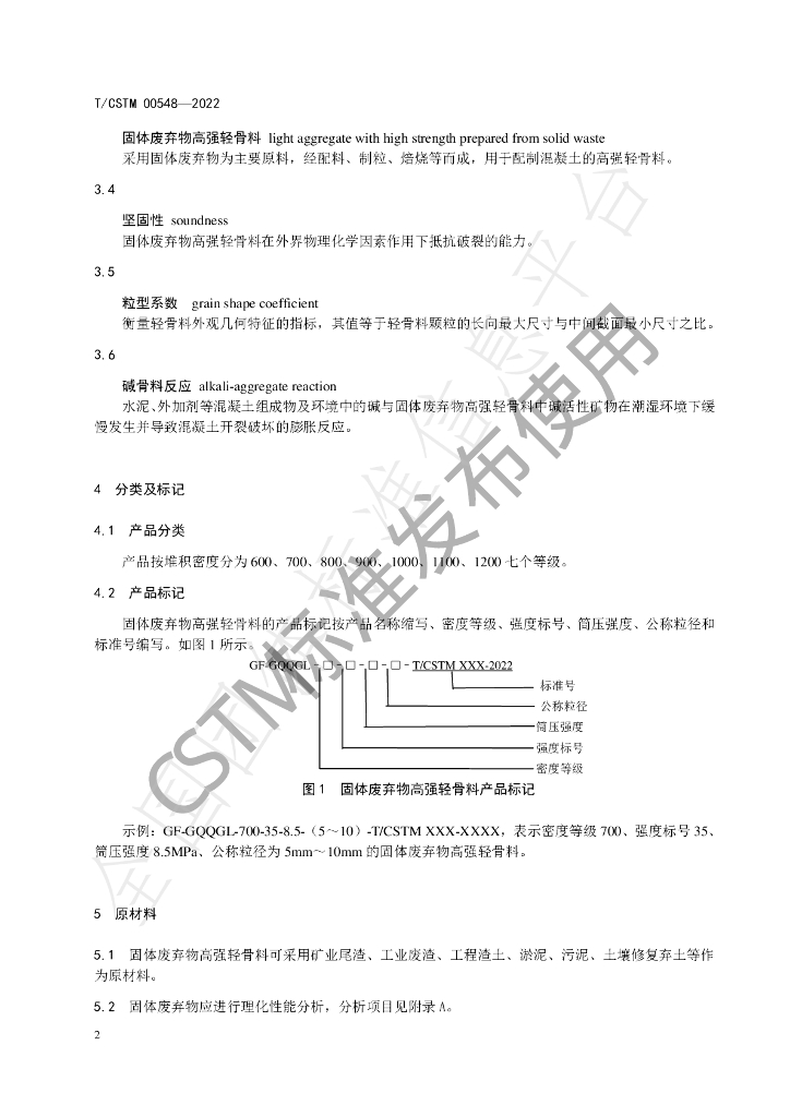 T/CSTM 00548-2022 标准预览
