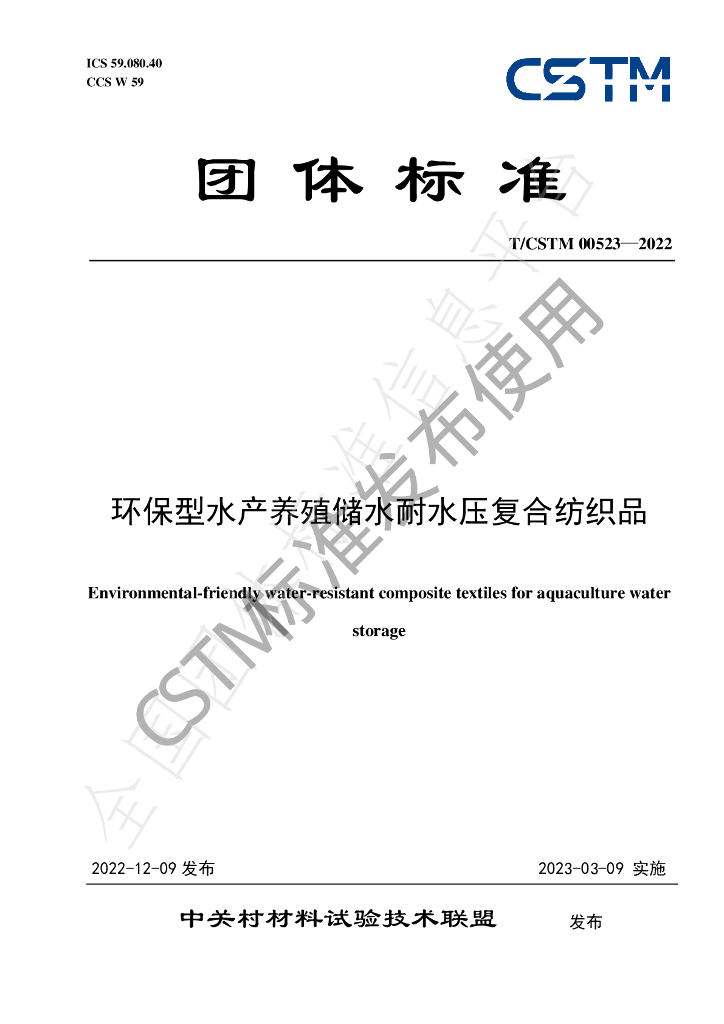 T/CSTM 00523-2022 标准预览