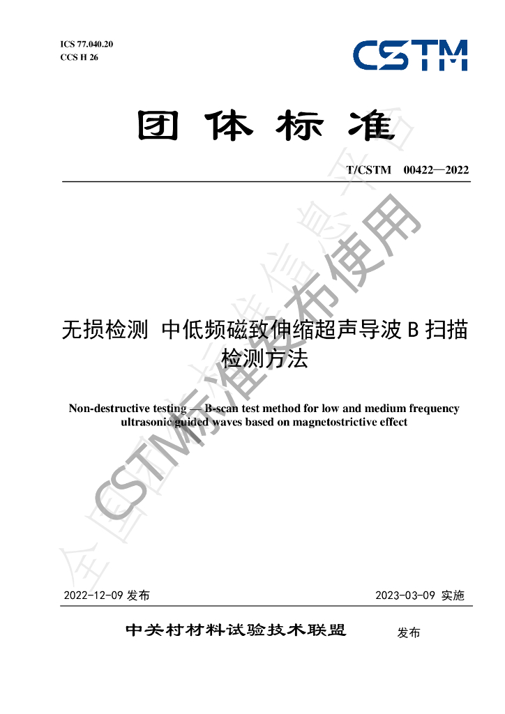 T/CSTM 00422-2022 标准预览