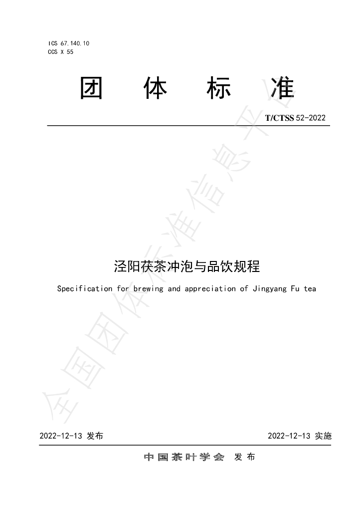 T/CTSS 52-2022 标准预览