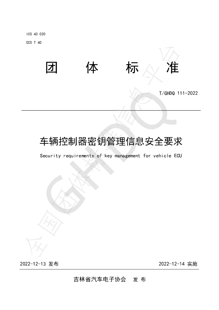 T/GHDQ 111-2022 标准预览