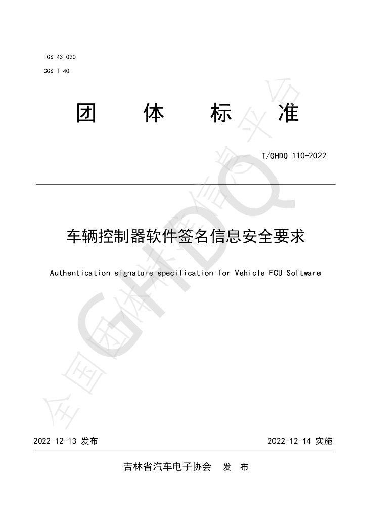 T/GHDQ 110-2022 标准预览
