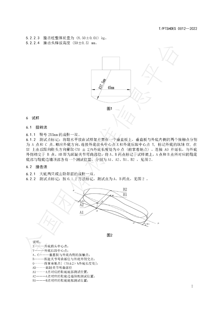 T/PTSHOES 0012-2022 标准预览