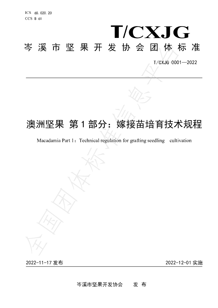 T/CXJG 0001-2022 标准预览