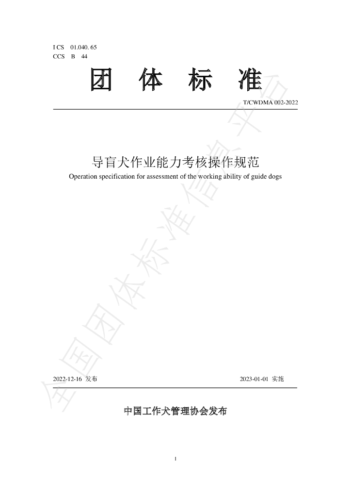 T/CWDMA 002-2022 标准预览
