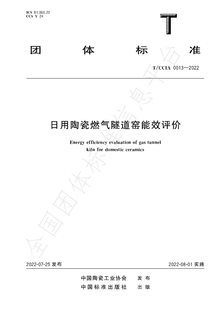 T/CCIA 0013-2022 标准预览