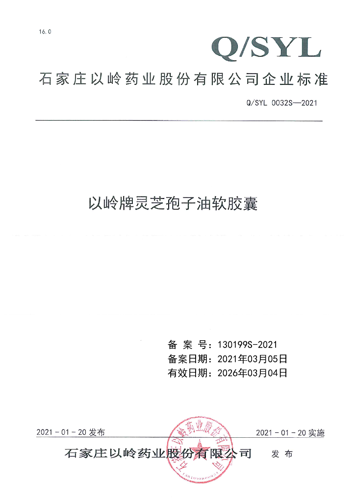 Q/SYL 0032S-2021 标准预览
