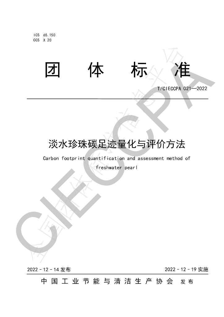 T/CIECCPA 021-2022 标准预览