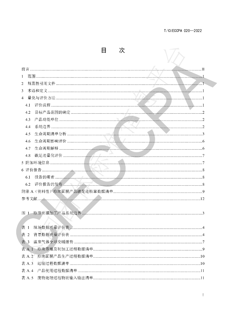 T/CIECCPA 020-2022 标准预览