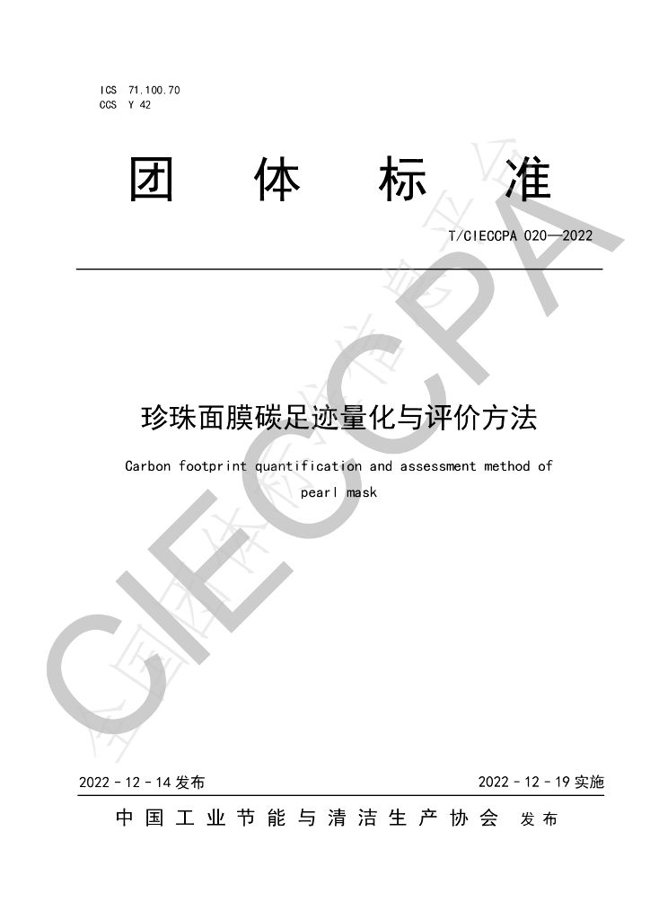 T/CIECCPA 020-2022 标准预览
