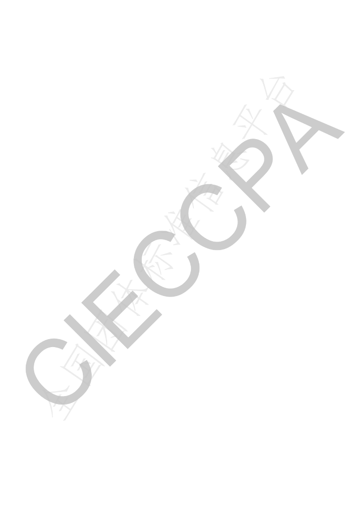 T/CIECCPA 019-2022 标准预览