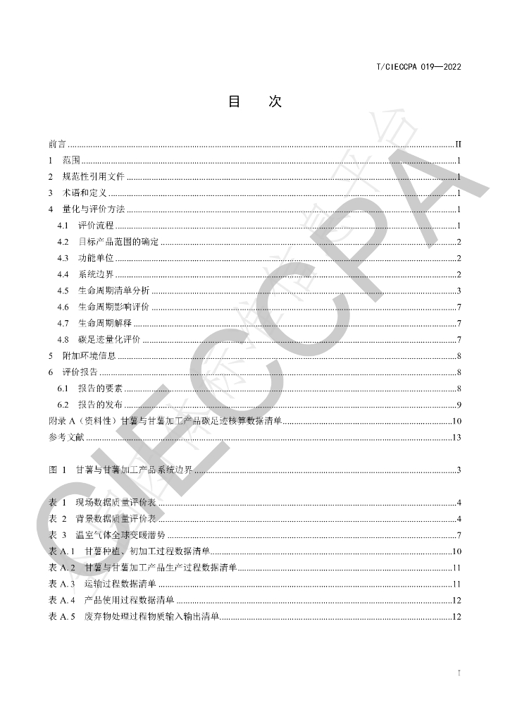 T/CIECCPA 019-2022 标准预览