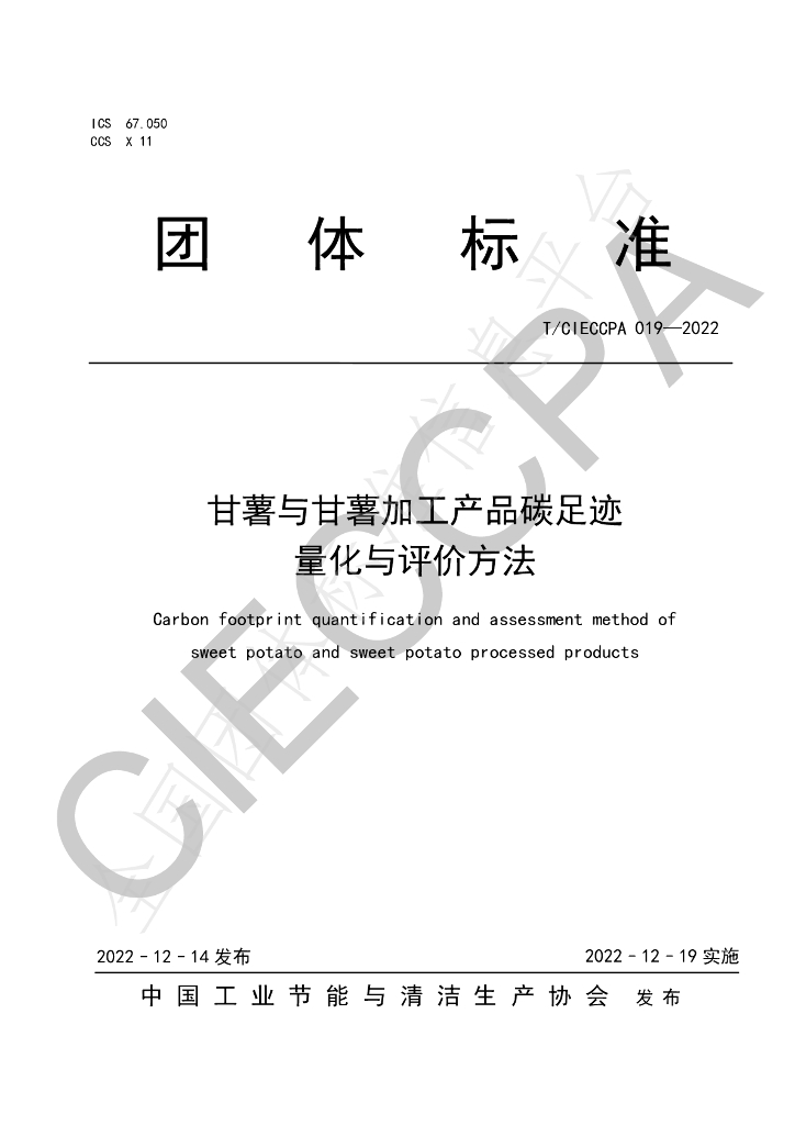 T/CIECCPA 019-2022 标准预览