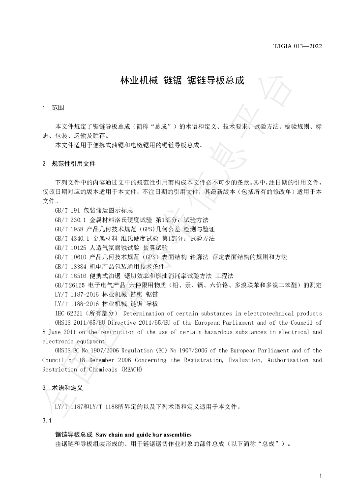 T/IGIA 013-2022 标准预览