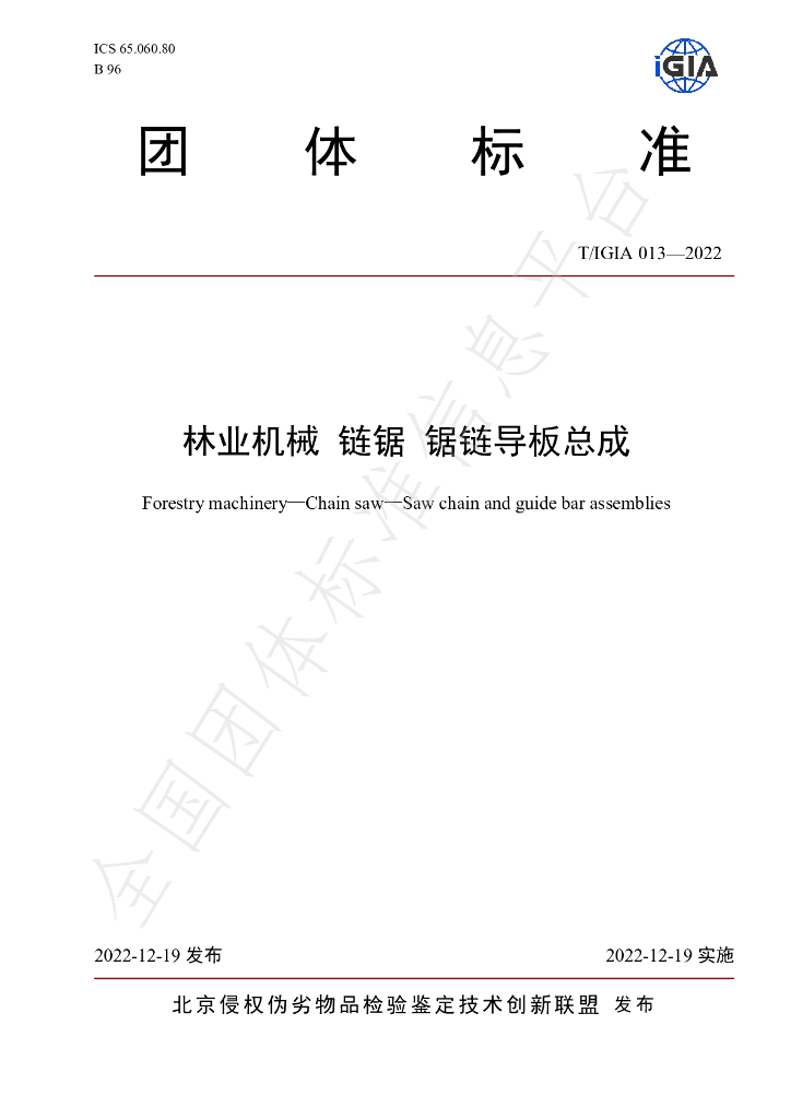 T/IGIA 013-2022 标准预览