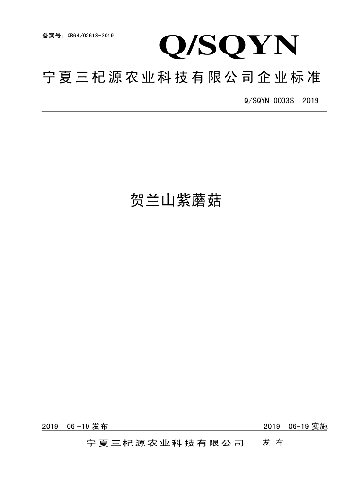 Q/SQYN 0003S-2019 标准预览