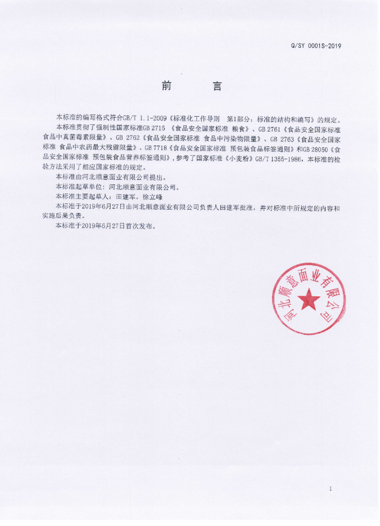 Q/SY 0001S-2019 标准预览
