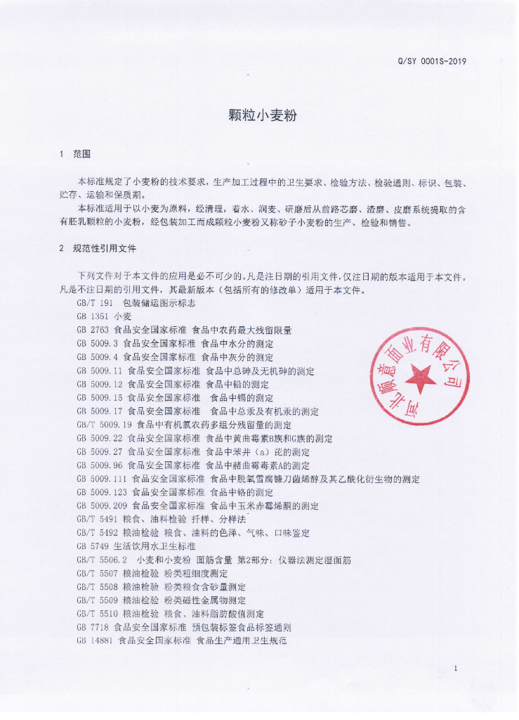 Q/SY 0001S-2019 标准预览