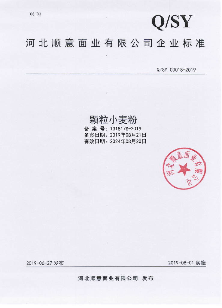 Q/SY 0001S-2019 标准预览