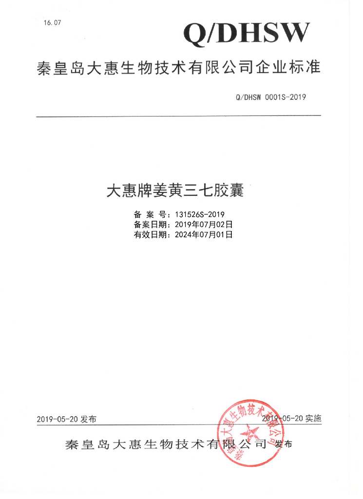 Q/DHSW 0001S-2019 标准预览