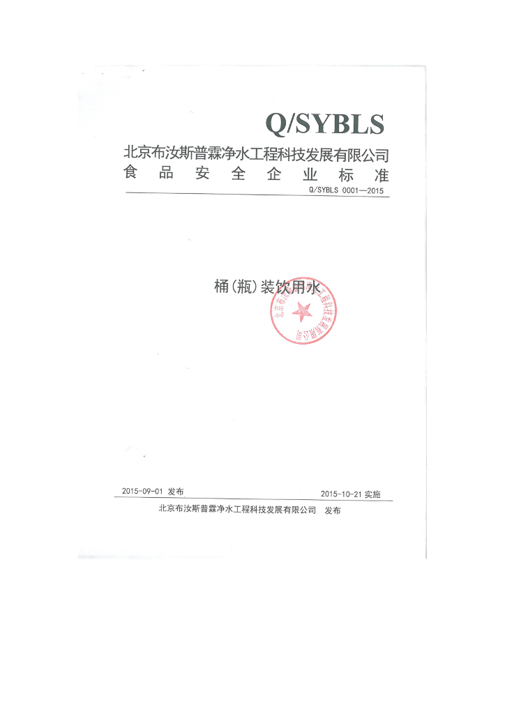 Q/SYBLS 0001-2015 标准预览
