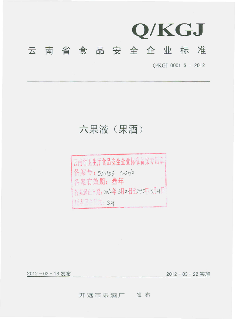 Q/KGJ 0001S-2012 标准预览