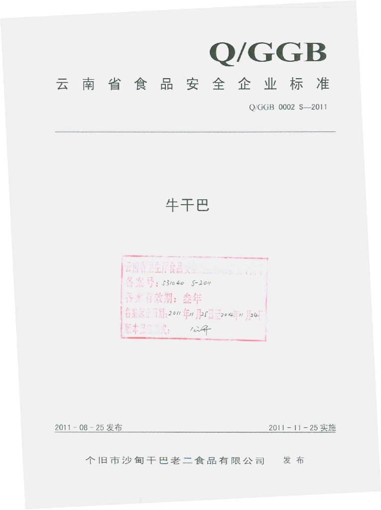 Q/GGB 0002S-2011 标准预览