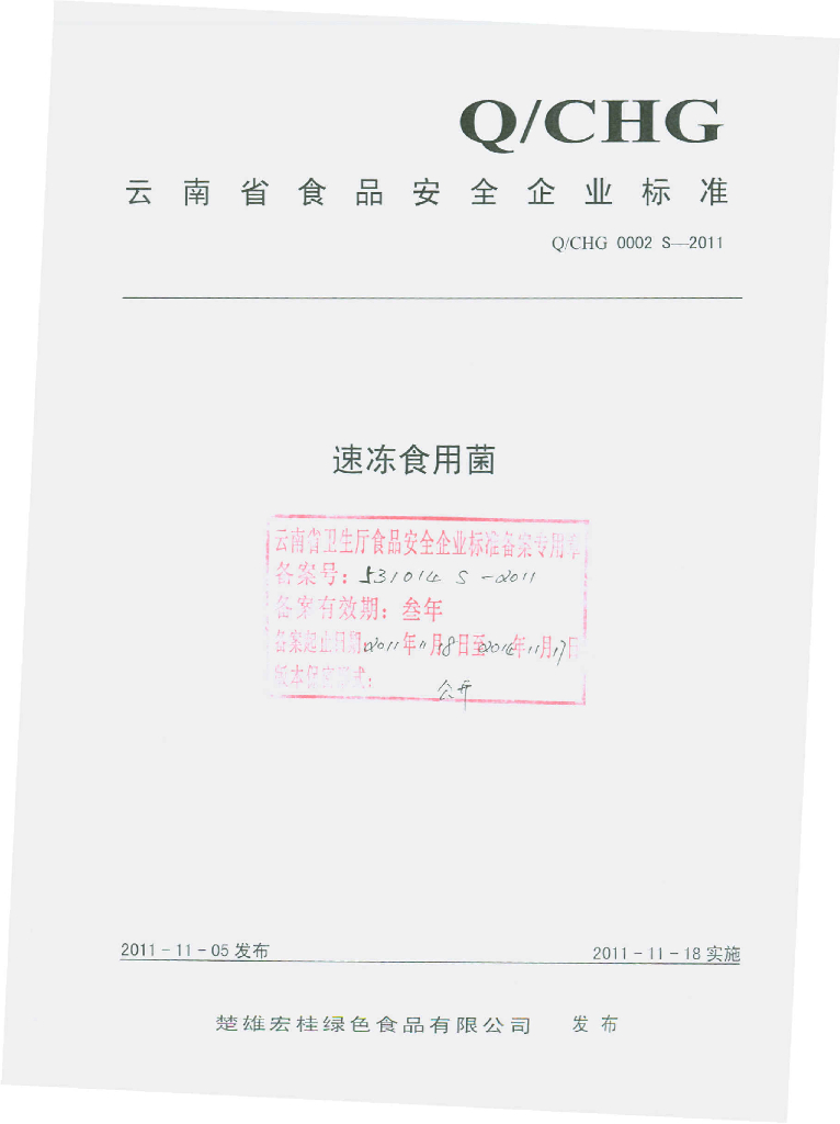 Q/CHG 0002S-2011 标准预览