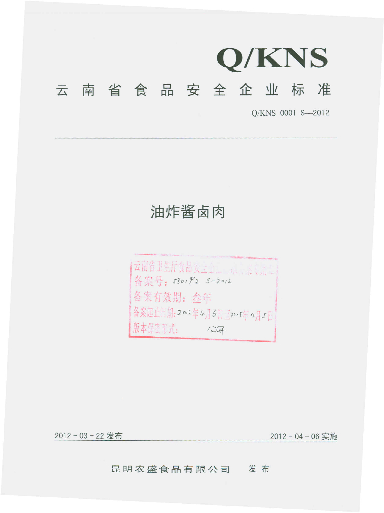 Q/KNS 0001S-2012 标准预览