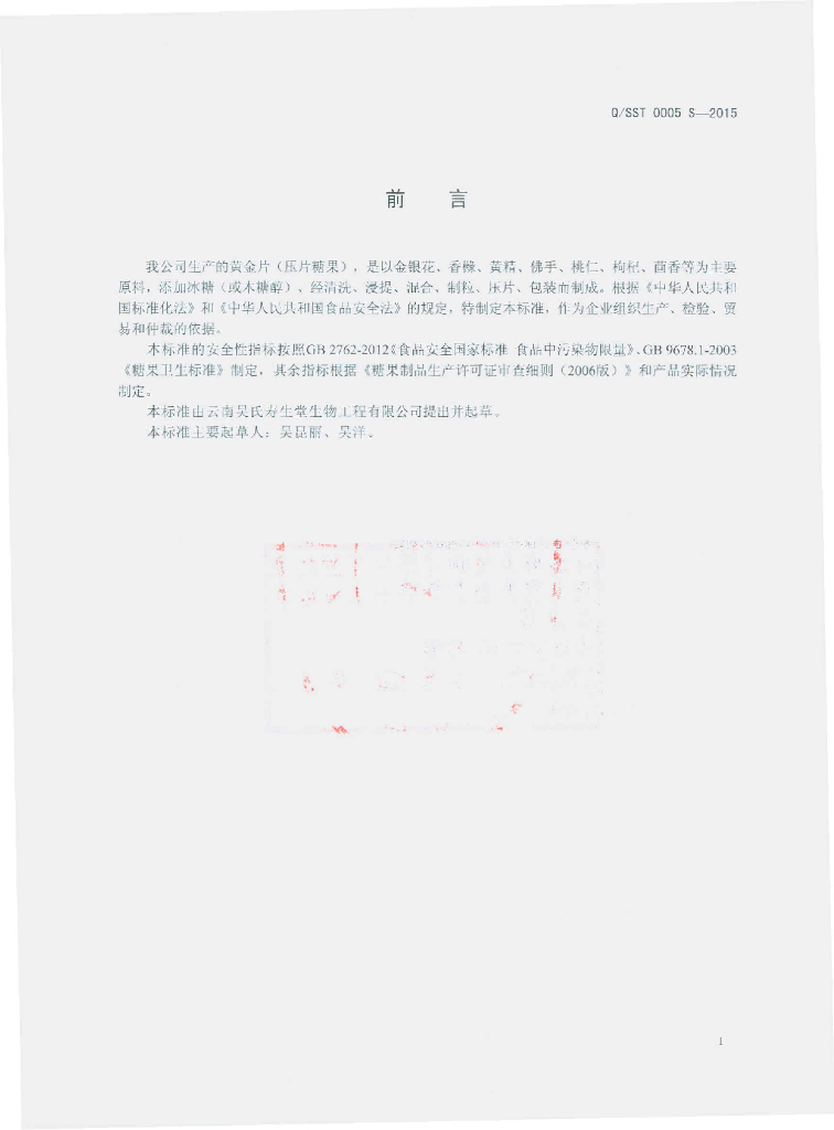 Q/SST 0005S-2015 标准预览