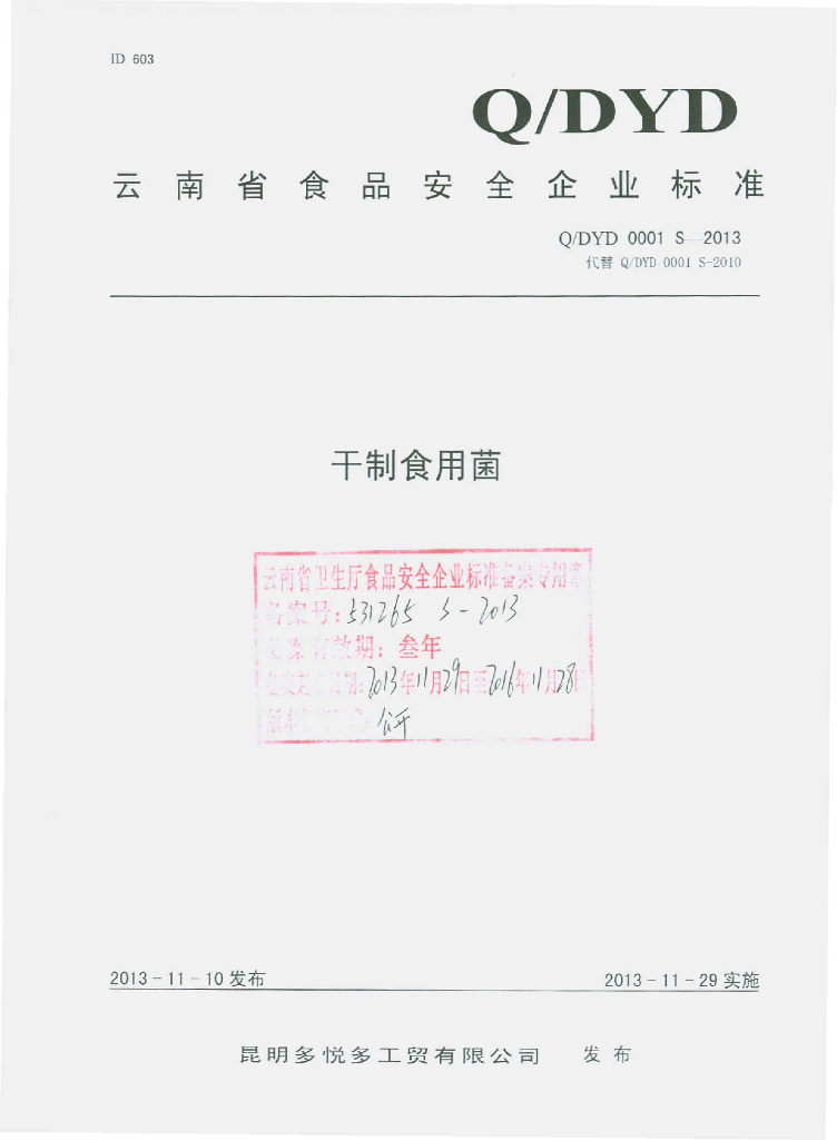 Q/DYD 0001S-2013 标准预览
