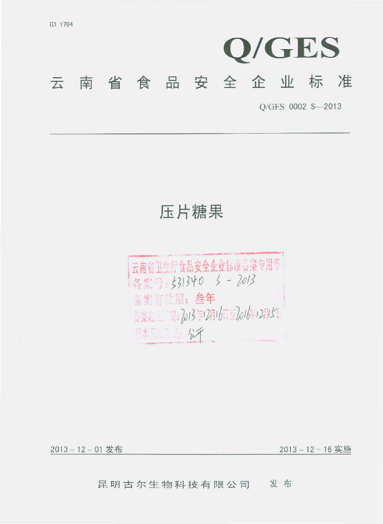 Q/GES 0002S-2013 标准预览
