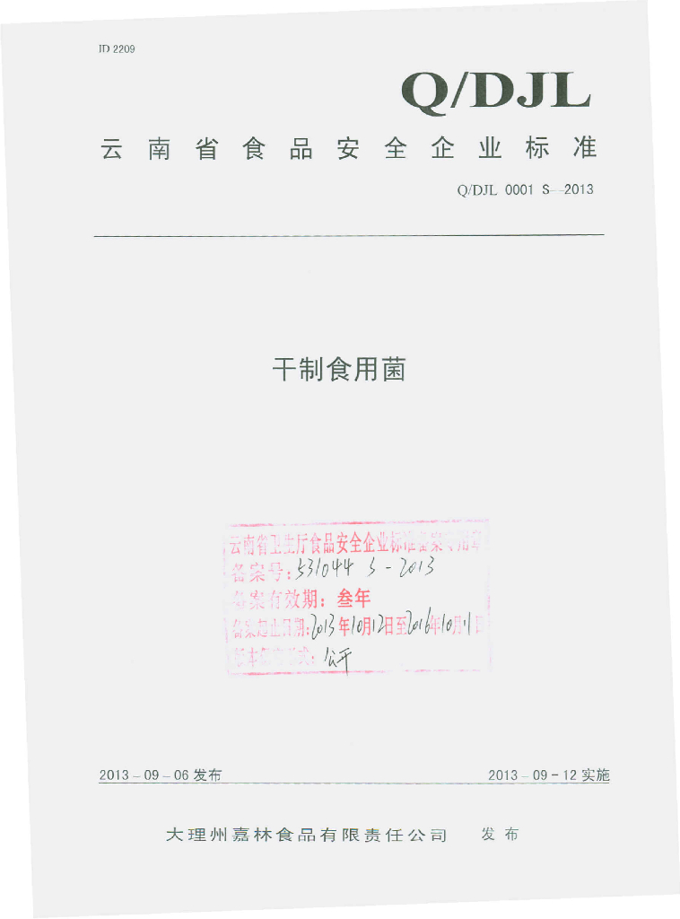 Q/DJL 0001S-2013 标准预览