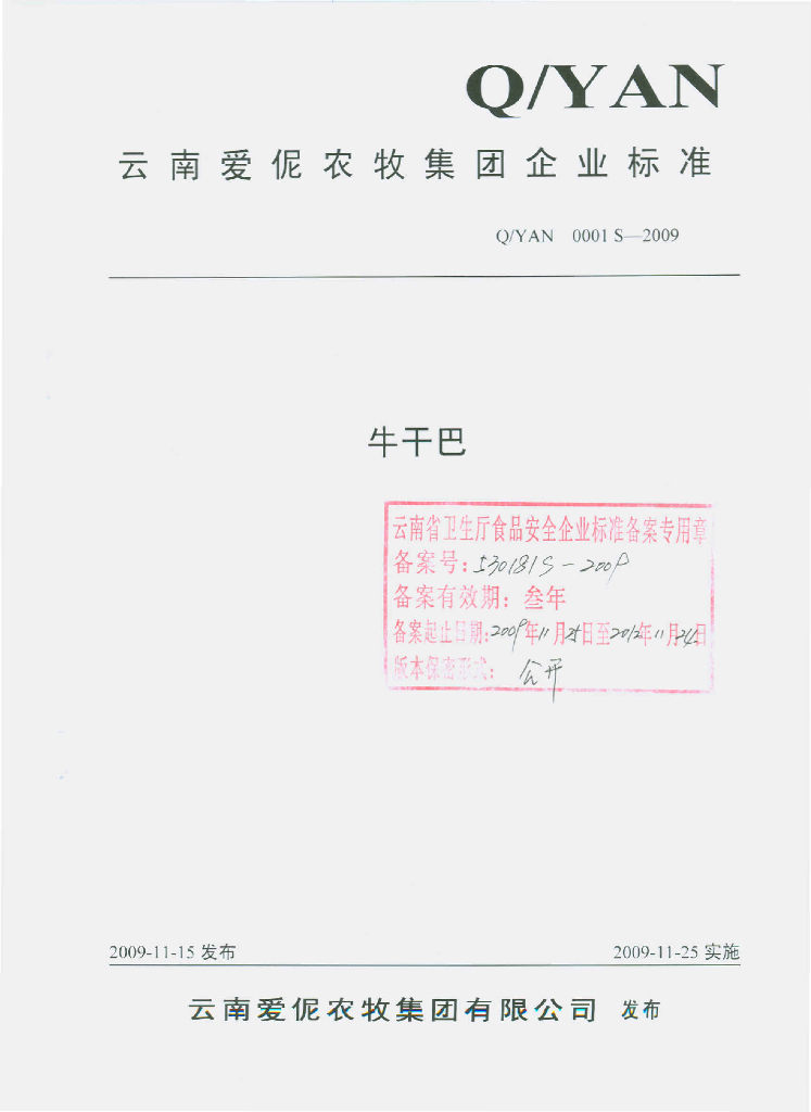 Q/YAN 0001S-2009 标准预览