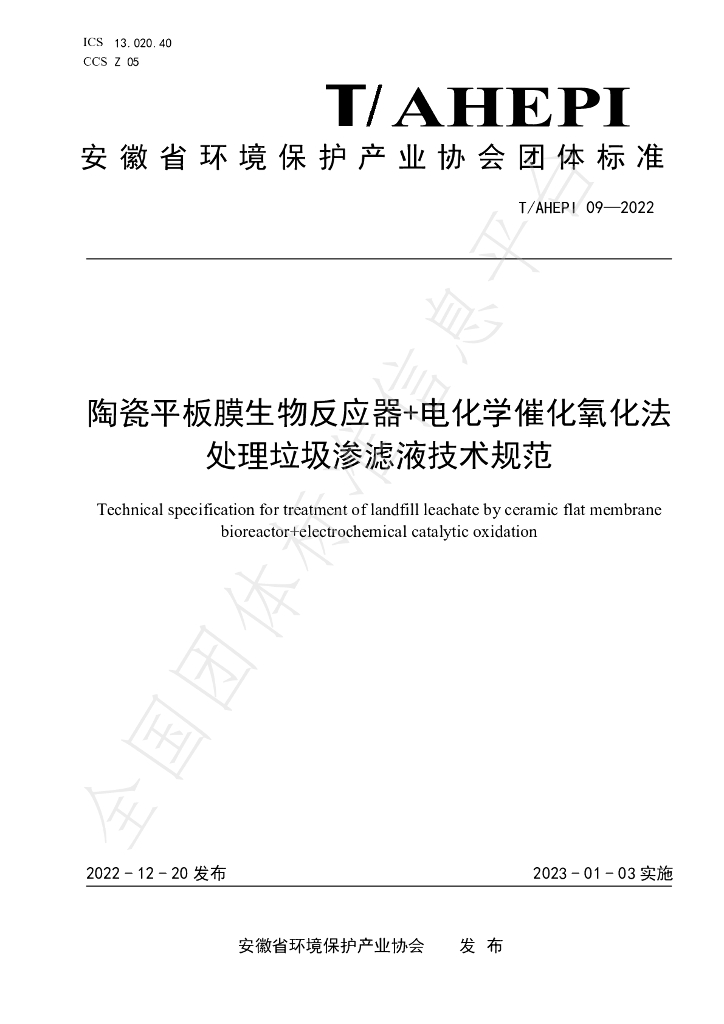 T/AHEPI 09-2022 标准预览