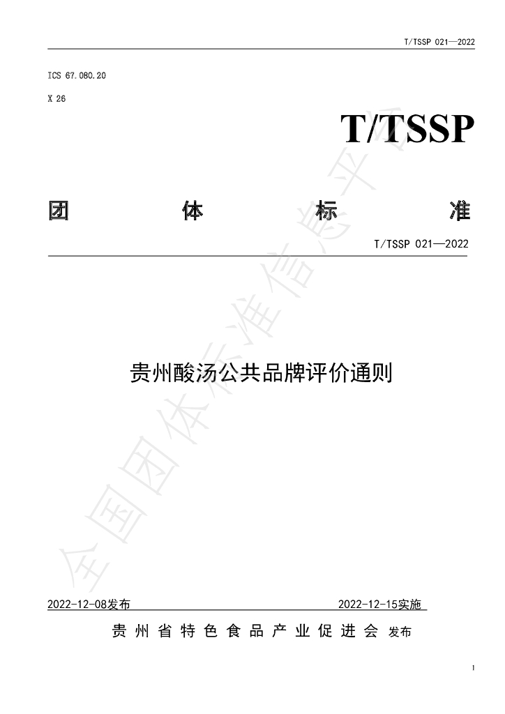T/TSSP 021-2022 标准预览