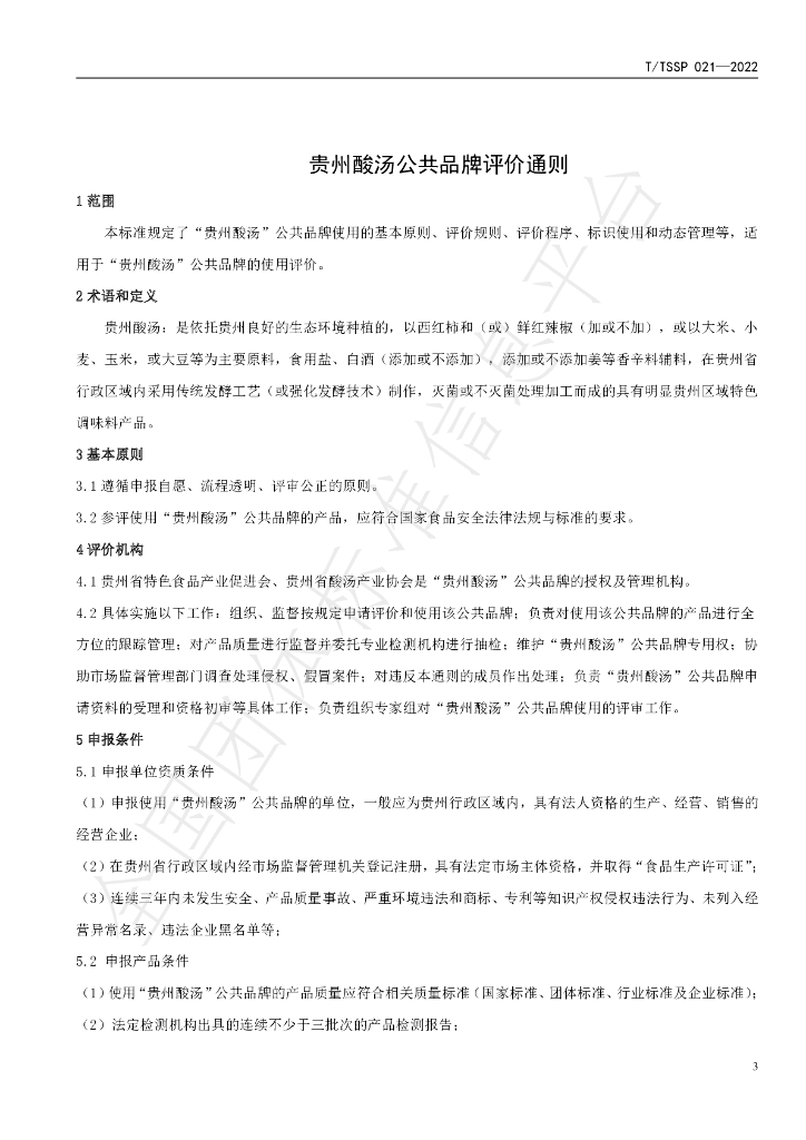 T/TSSP 021-2022 标准预览