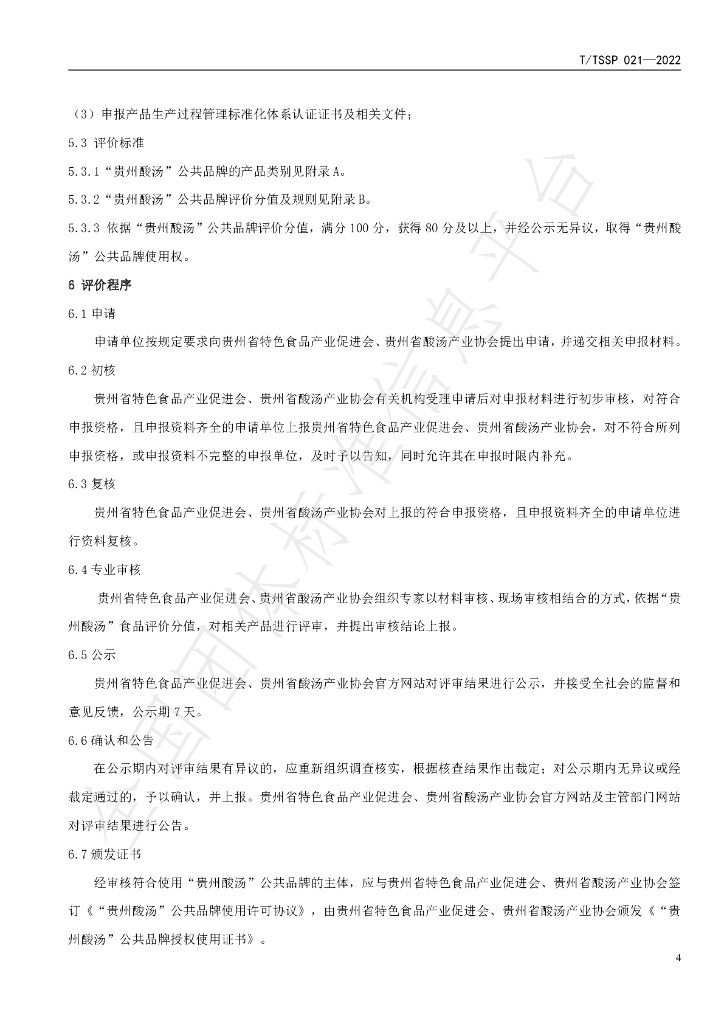 T/TSSP 021-2022 标准预览