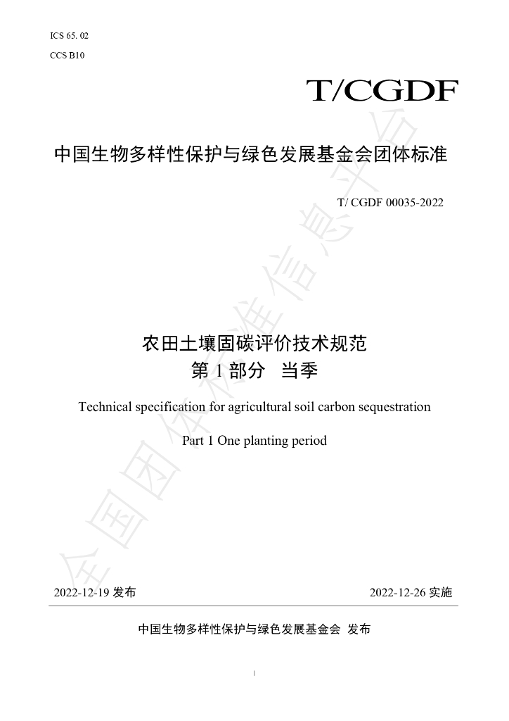 T/CGDF 00035-2022 标准预览