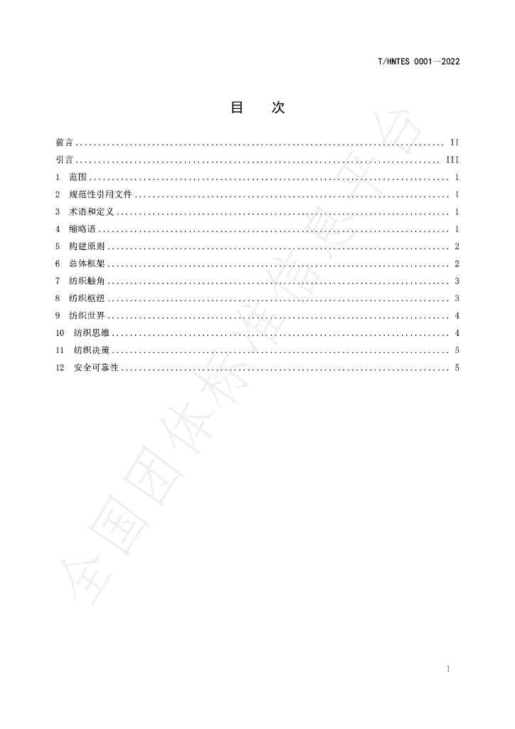 T/HNTES 0001-2022 标准预览