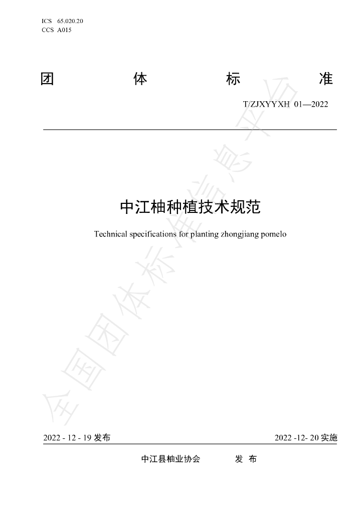 T/ZJXYYXH 01-2022 标准预览
