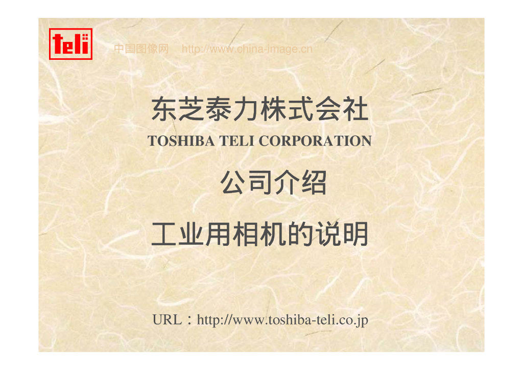 东芝泰力-VisionChina深圳研讨会演讲PPT