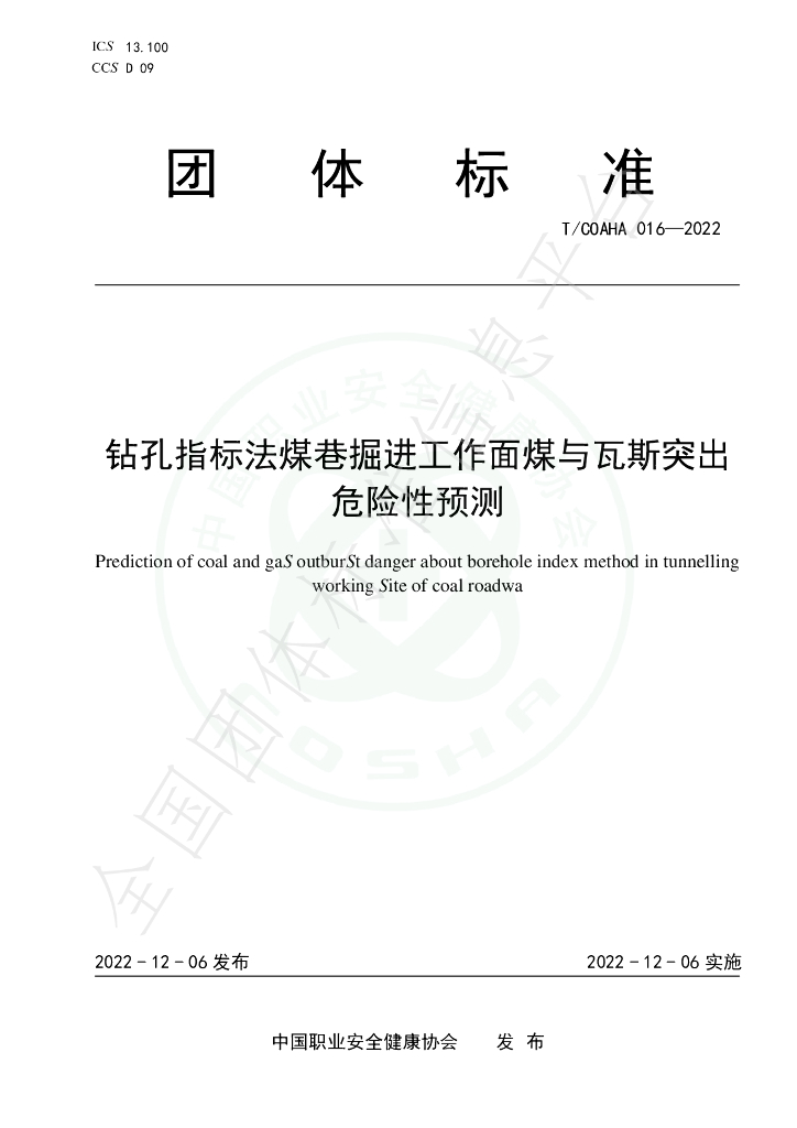 T/COSHA 016-2022 标准预览