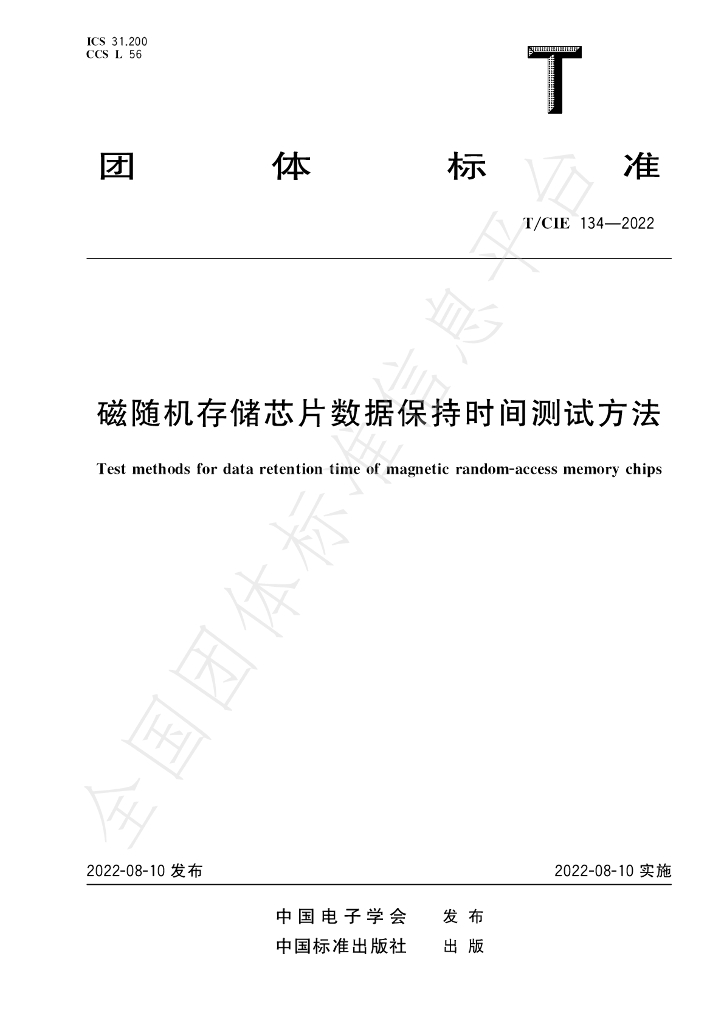 T/CIE 134-2022 标准预览