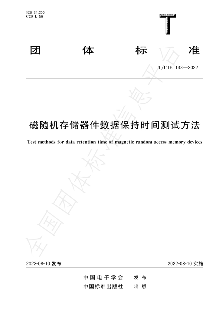 T/CIE 133-2022 标准预览