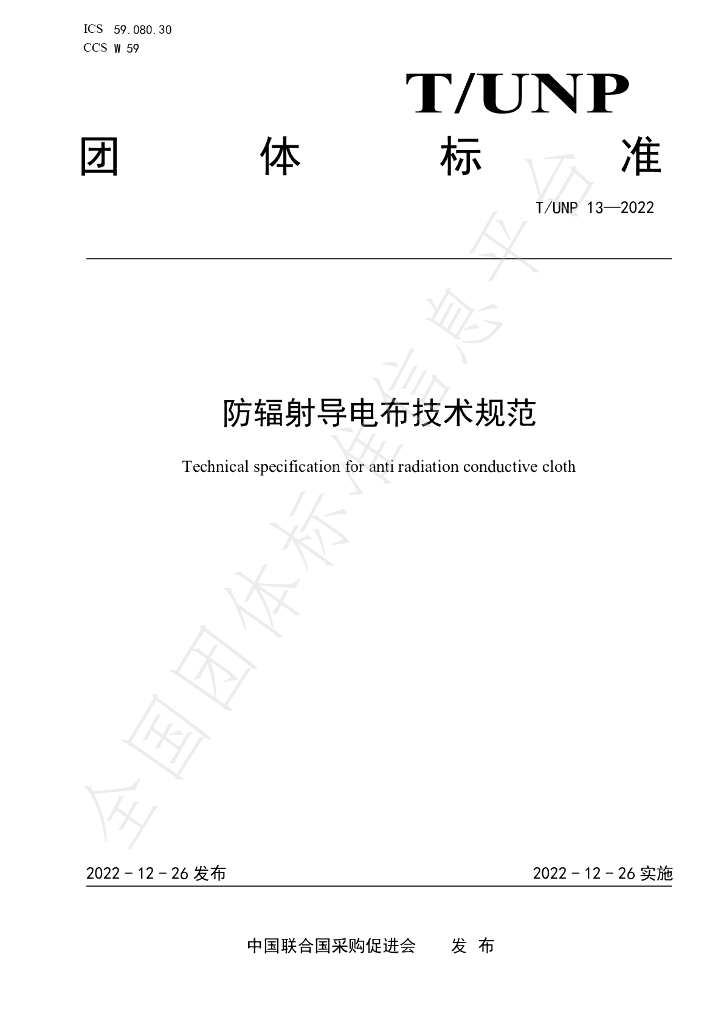 T/UNP 13-2022 标准预览