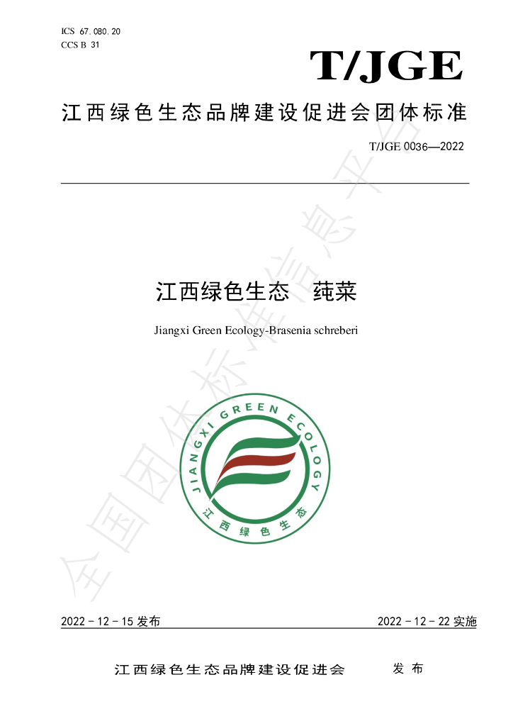 T/JGE 0036-2022 标准预览