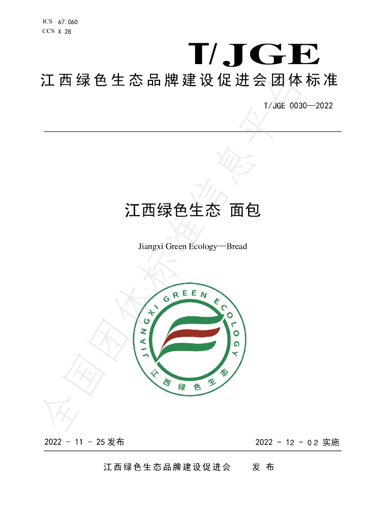 T/JGE 0030-2022 标准预览