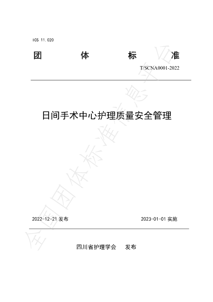 T/SCNA 0001-2022 标准预览