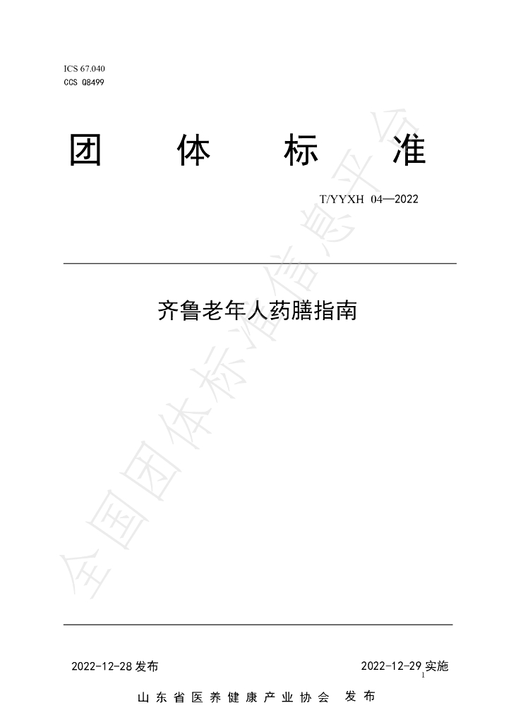 T/YYXH 04-2022 标准预览